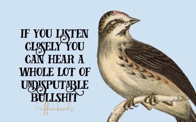 A painting of a bird beside the text "if you listen closely you can hear a whole lot of undisputable bullshit"