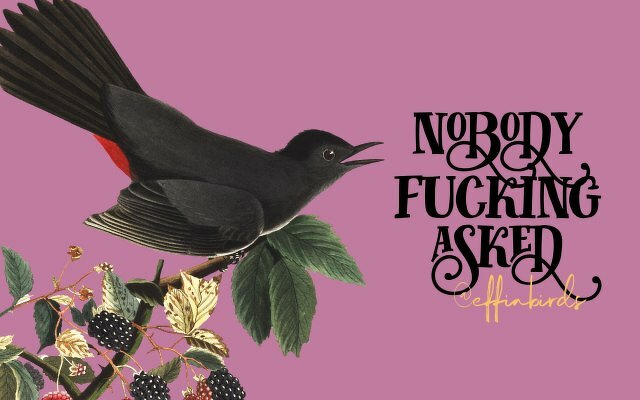 A painting of a bird beside the text "nobody fucking asked"