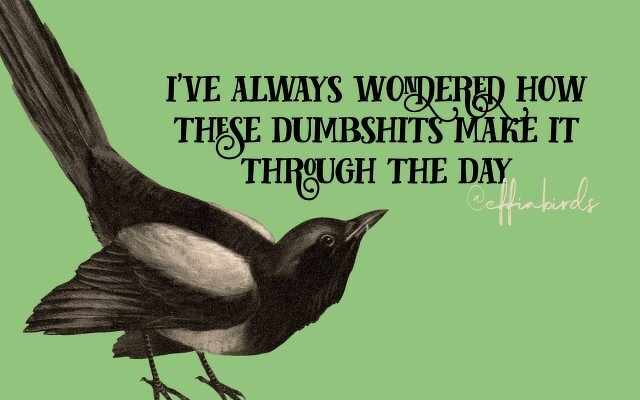 A painting of a bird beside the text "i've always wondered how these dumbshits make it through the day"