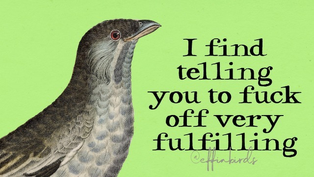 A painting of a bird beside the text "I find telling you to fuck off very fulfilling"
