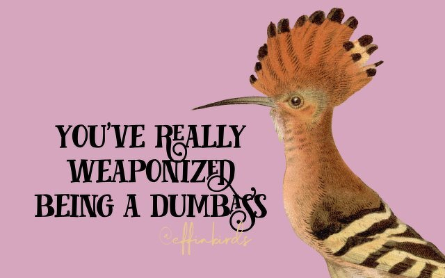 A painting of a bird beside the text "you've really weaponized being a dumbass"