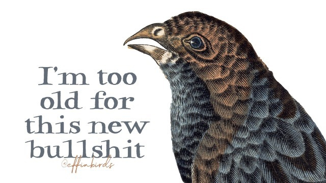A painting of a bird beside the text "I'm too old for this new bullshit"