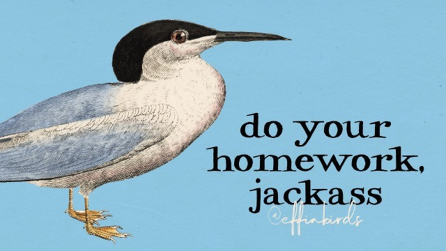A painting of a bird beside the text "do your homework, jackass"