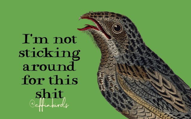 A painting of a bird beside the text "I'm not sticking around for this shit"