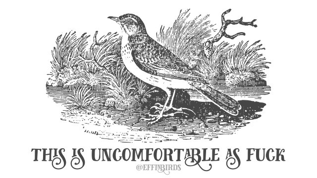 A woodcut of a bird beside the text "this is uncomfortable as fuck"