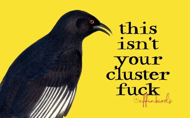 A painting of a bird beside the text "this isn't your clusterfuck"