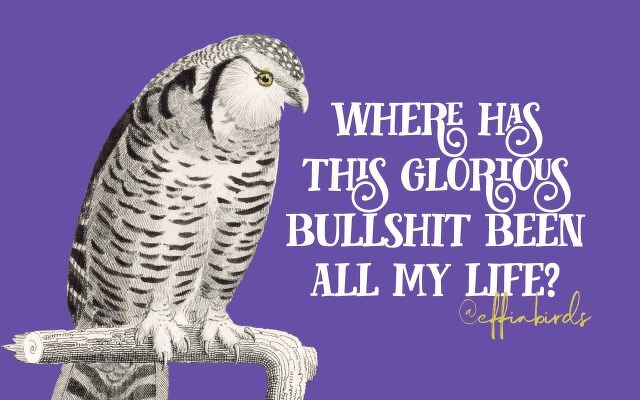 A painting of a bird beside the text "where has this glorious bullshit been all my life"