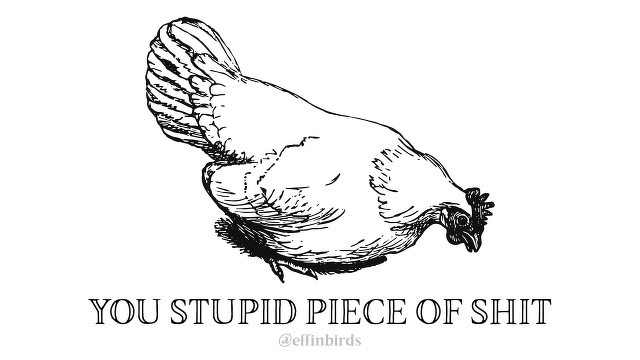 A woodcut of a bird beside the text "you stupid piece of shit"