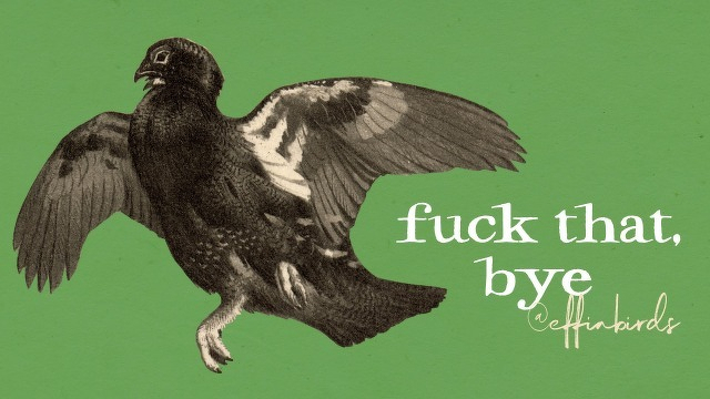 A painting of a bird beside the text "fuck that, bye"