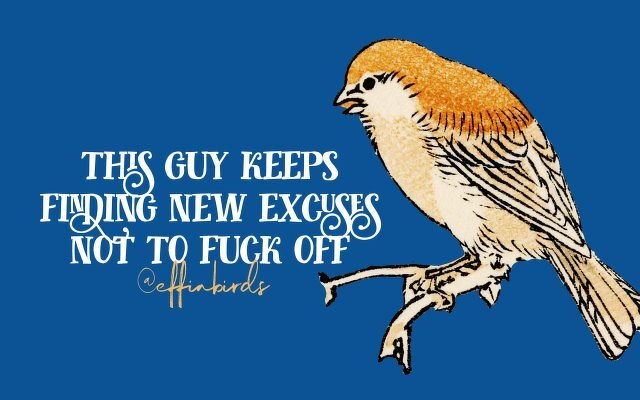 A painting of a bird beside the text "this guy keeps finding new excuses not to fuck off"