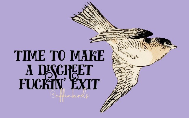 A painting of a bird beside the text "time to make a discreet fuckin' exit"