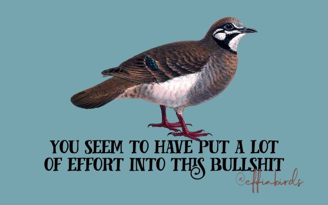 A painting of a bird beside the text "you seem to have put a lot of effort into this bullshit"