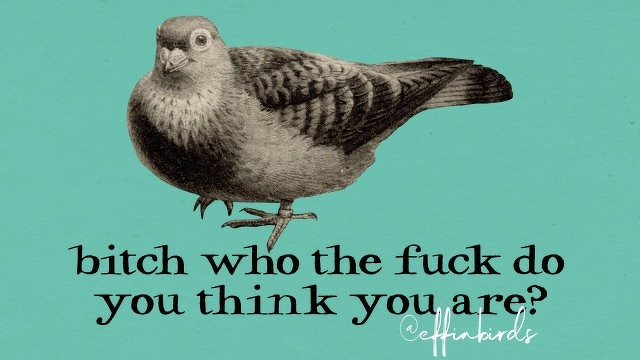 A painting of a bird beside the text "bitch who the fuck do you think you are?"