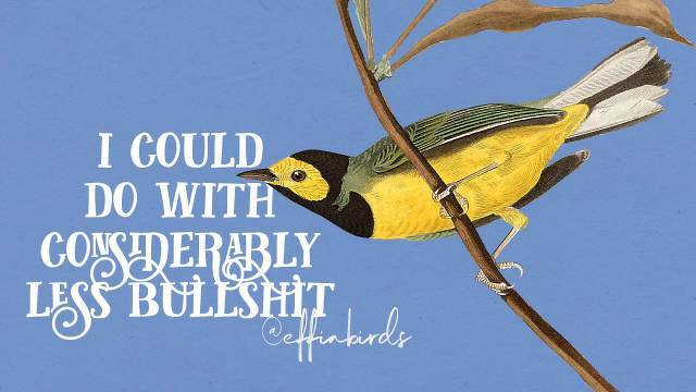 A painting of a bird beside the text "I could do with considerably less bullshit"