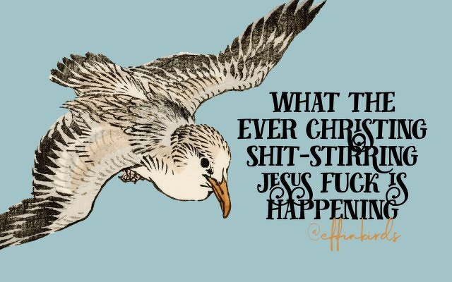 A painting of a bird beside the text "what the ever christing shit-stirring jesus fuck is happening"