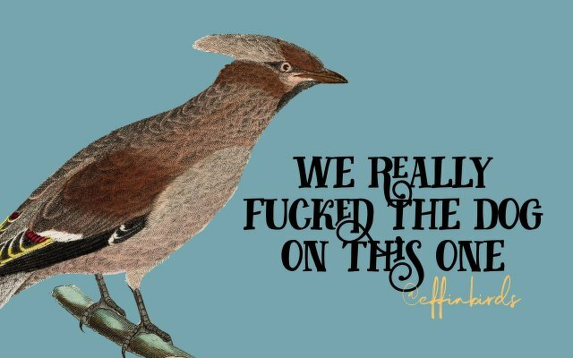 A painting of a bird beside the text "we really fucked the dog on this one"