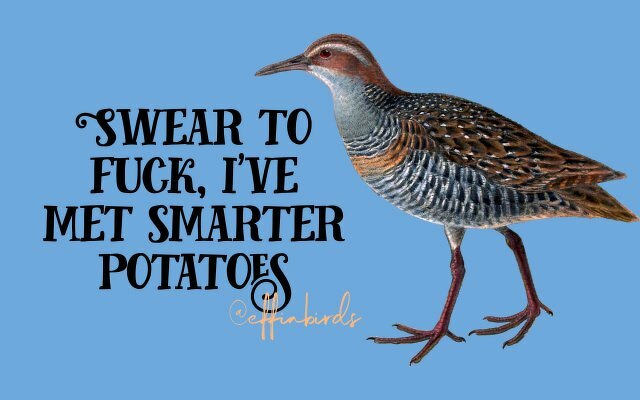 A painting of a bird beside the text "Swear to fuck, i've met smarter potatoes"