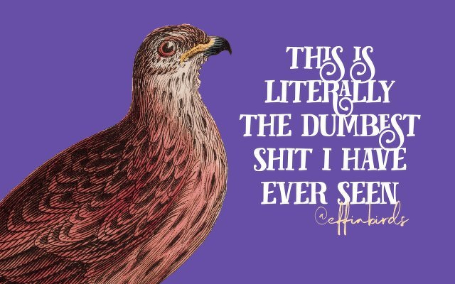 A painting of a bird beside the text "this is literally the dumbest shit i have ever seen"