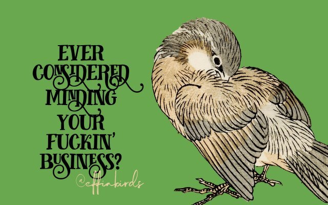 A painting of a bird beside the text "ever considered minding your fuckin' business"