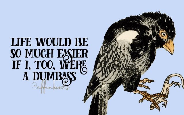 A painting of a bird beside the text "life would be so much easier if i, too, were a dumbass"