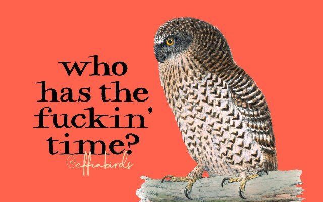 A painting of a bird beside the text "you are capable of badass shit"