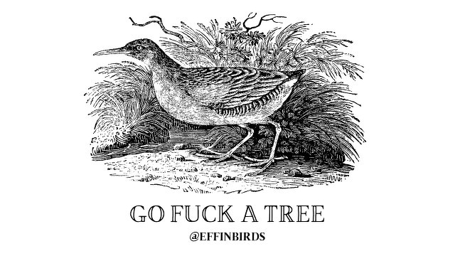 A woodcut of a bird beside the text "go fuck a tree"