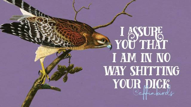A painting of a bird beside the text "I assure you that I am in no way shitting your dick"