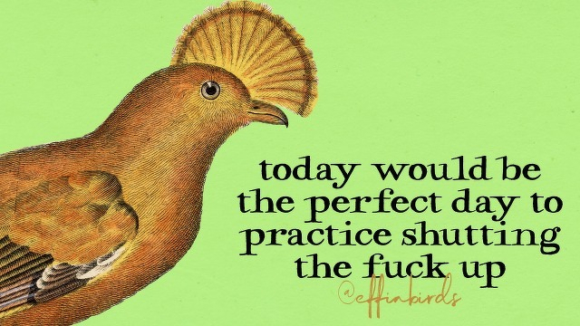 A painting of a bird beside the text "today would be the perfect day to practice shutting the fuck up"