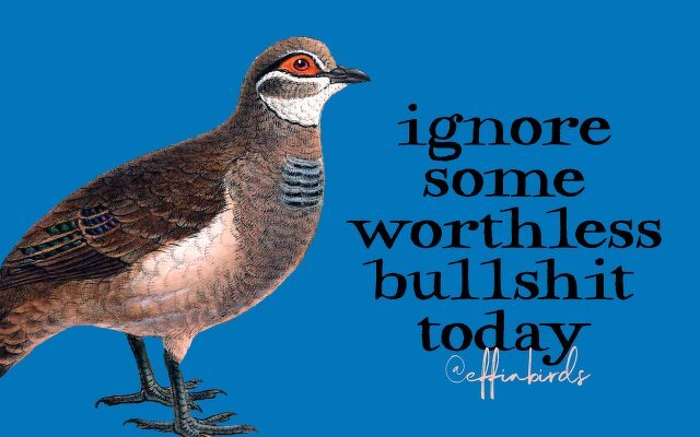 A painting of a bird beside the text "ignore some worthless bullshit today"