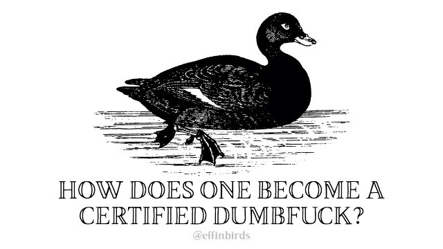 A woodcut of a bird beside the text "HOW DOES ONE BECOME A CERTIFIED DUMBFUCK?"