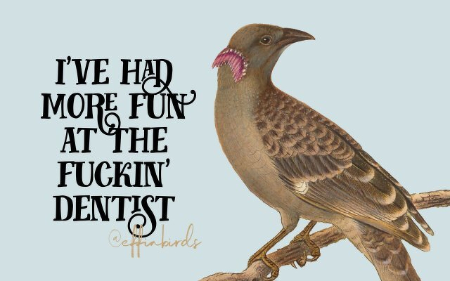 A painting of a bird beside the text "i've had more fun at the fuckin' dentist"