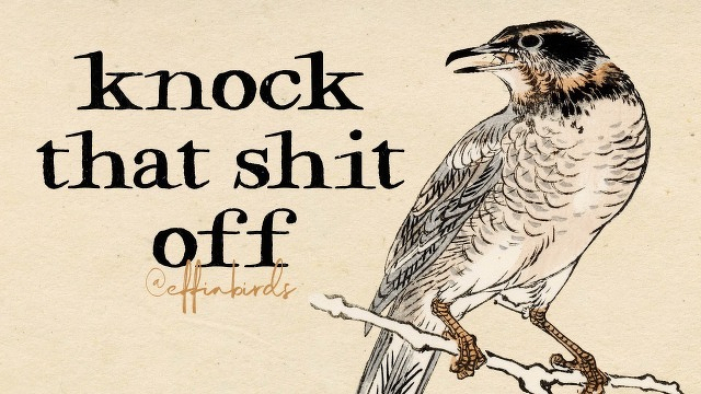 A painting of a bird beside the text "knock that shit off"