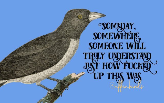 A painting of a bird beside the text "Someday, somewhere, someone will truly understand just how fucked up this was"