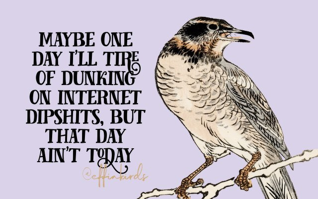 A painting of a bird beside the text "maybe one day i'll tire of dunking on internet dipshits, but that day ain't today"