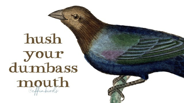A painting of a bird beside the text "hush your dumbass mouth"