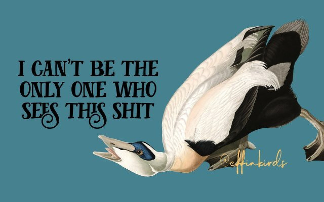 A painting of a bird beside the text "i can't be the only one who sees this shit"