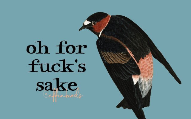 A painting of a bird beside the text "oh for fuck's sake"