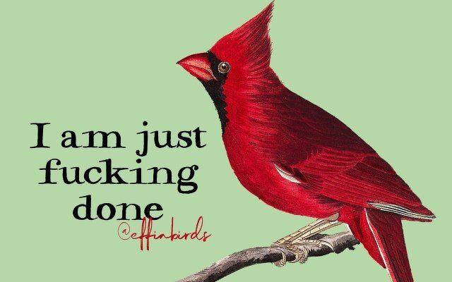 A painting of a bird beside the text "I am just fucking done"
