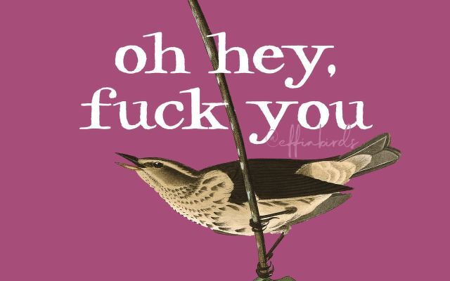A painting of a bird beside the text "oh hey, fuck you"
