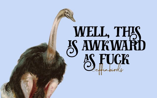 A painting of a bird beside the text "well, this is awkward as fuck"