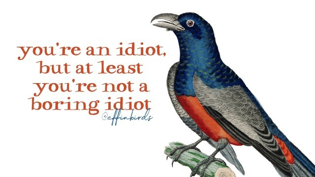 A painting of a bird beside the text "you're an idiot, but at least you're not a boring idiot"
