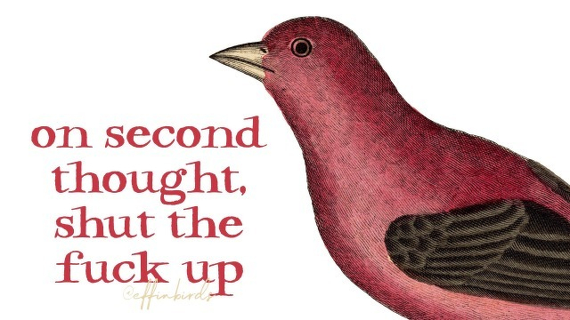 A painting of a bird beside the text "on second thought, shut the fuck up"