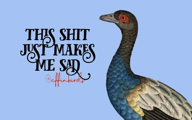 A painting of a bird beside the text "this shit just makes me sad"