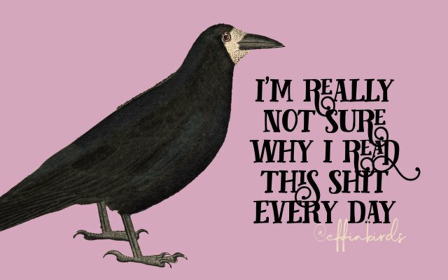 A painting of a bird beside the text "i'm really not sure why i read this shit every day"