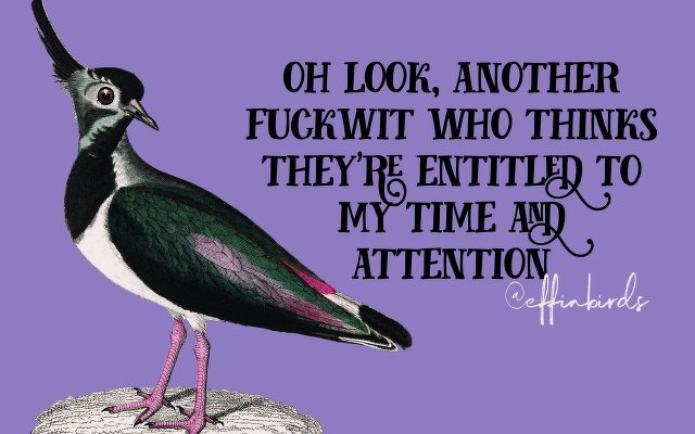 A painting of a bird beside the text "oh look, another fuckwit who thinks they're entitled to my time and attention"