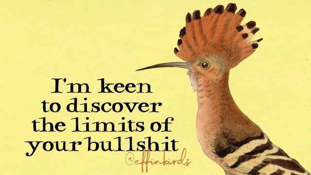 A painting of a bird beside the text "I'm keen to discover the limits of your bullshit"