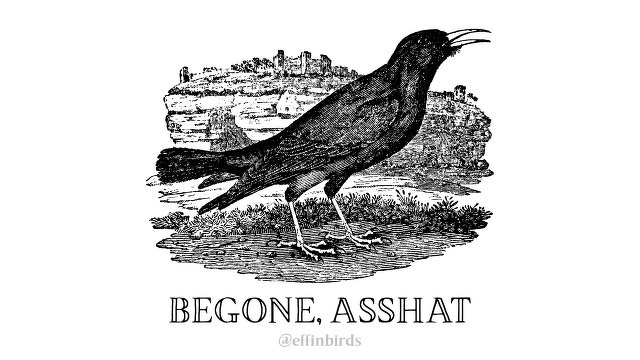 A woodcut of a bird beside the text "begone, asshat" 