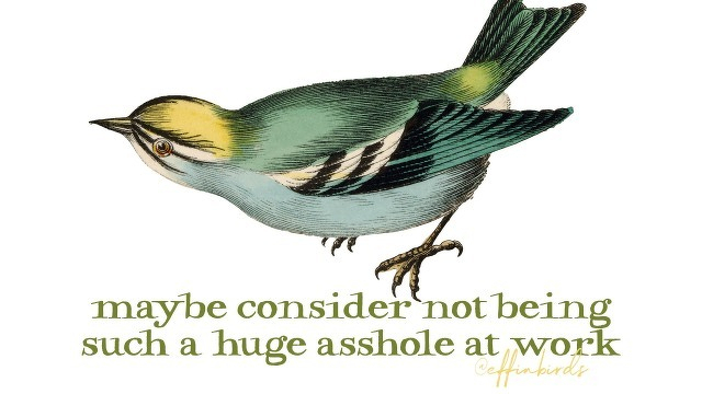 A painting of a bird beside the text "maybe consider not being such a huge asshole at work"
