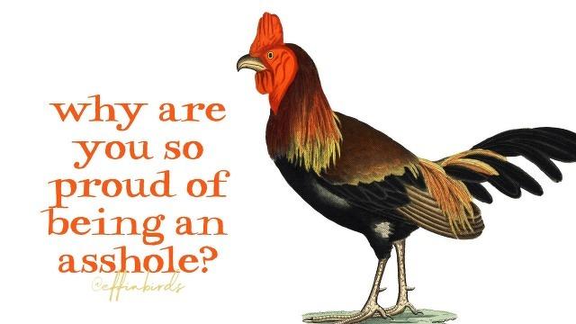 A painting of a bird beside the text "why are you so proud of being an asshole?"