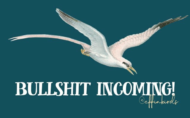 A painting of a bird beside the text "bullshit incoming"